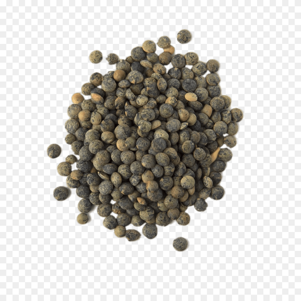 Puy Lentils, Bean, Food, Lentil, Plant Png