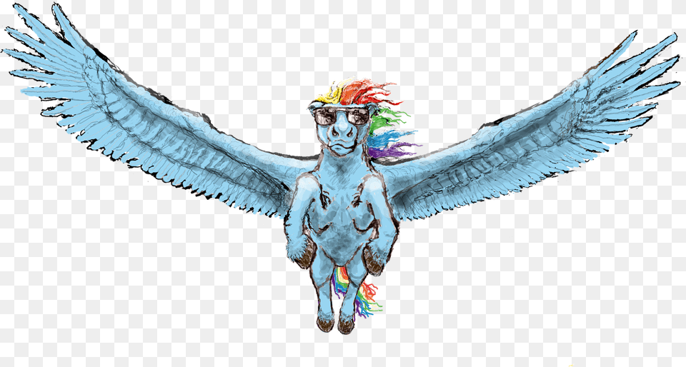 Pwnyville Flying Horse Rainbow Dash Realistic Illustration, Adult, Person, Female, Woman Free Png Download