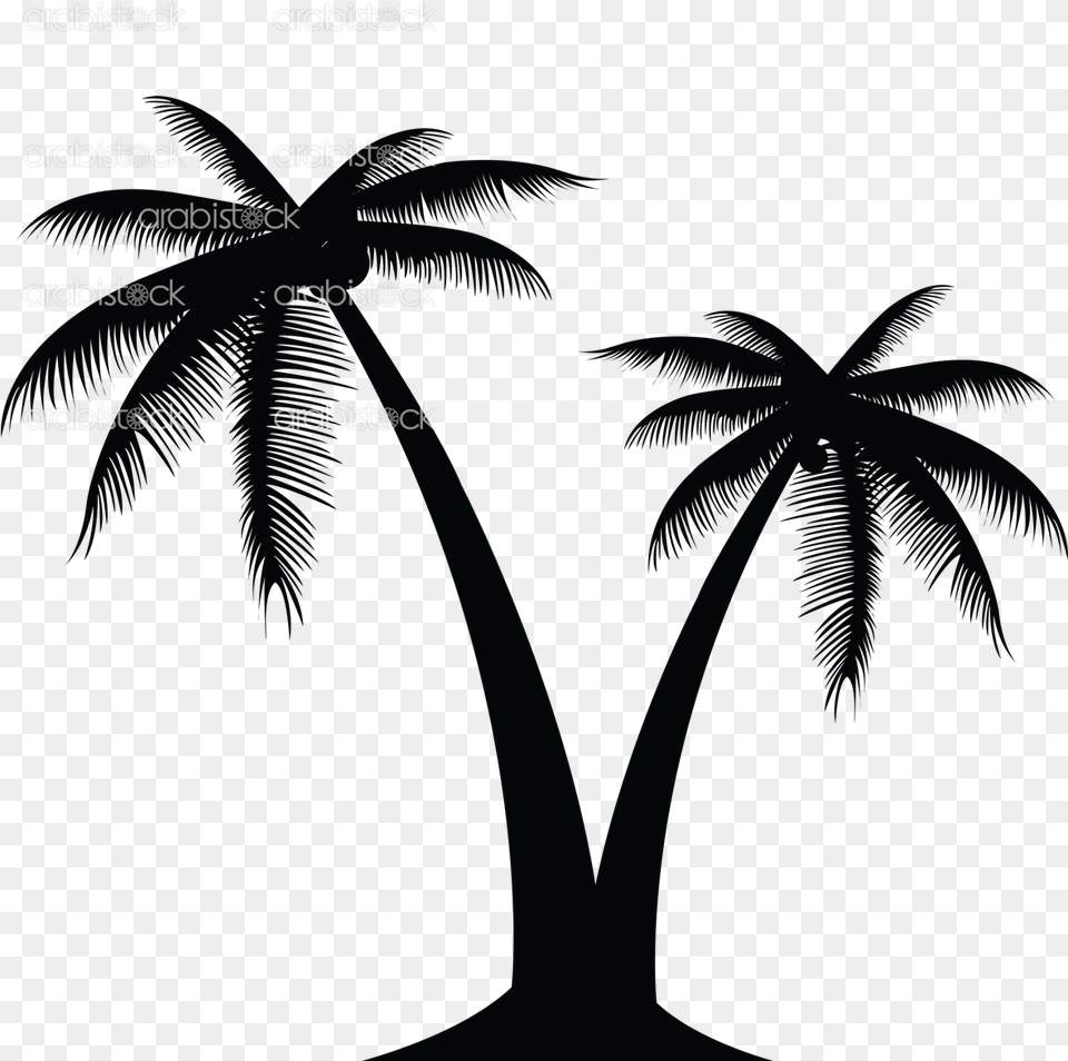 Px File Size Palmera Vector, Palm Tree, Plant, Tree, Vegetation Png