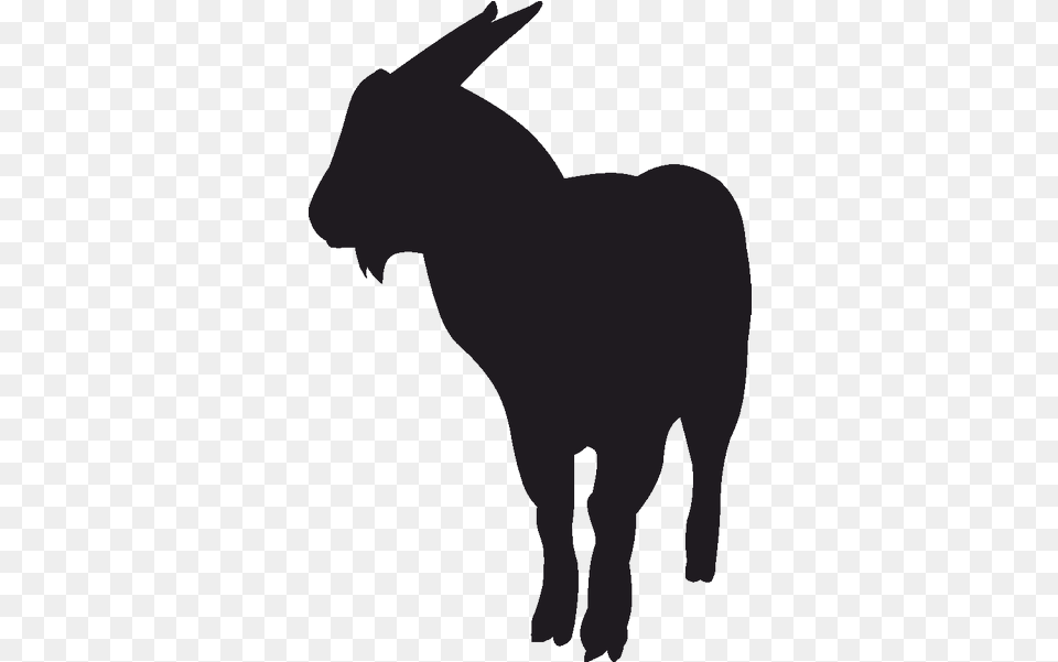 Pygmy Goat Landscapegoats Llc Sheep Black Bengal Goat Black Bengal Goat Hd, Silhouette, Animal, Mammal, Person Png Image