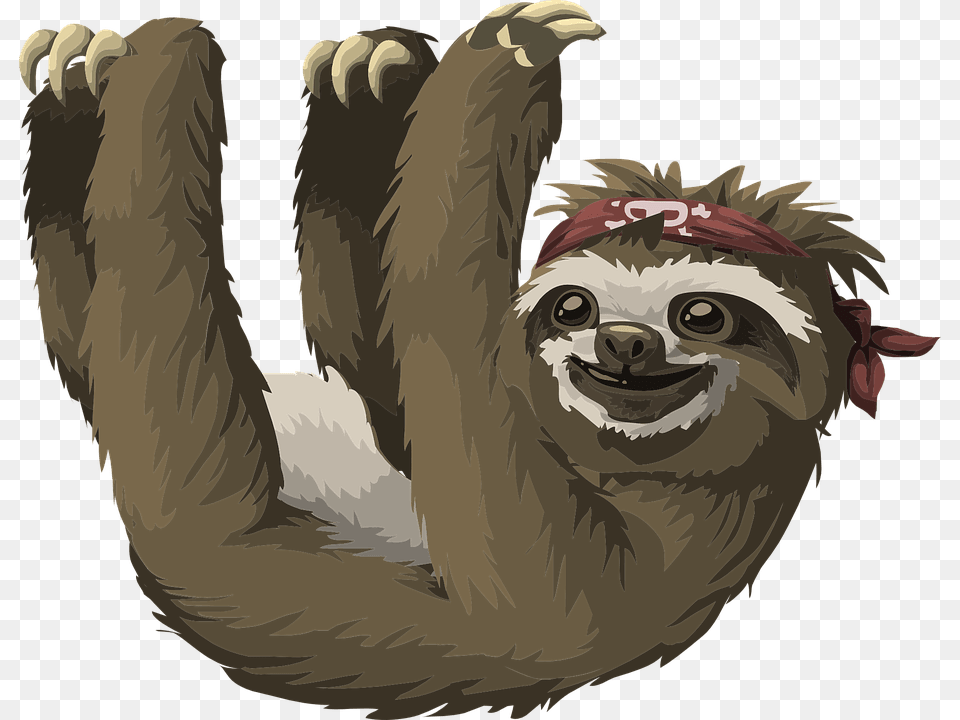 Pygmy Three Toed Sloth Cartoon, Animal, Mammal, Wildlife, Three-toed Sloth Free Png Download