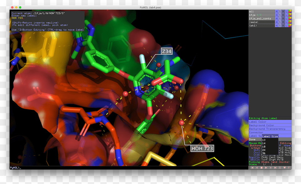 Pymol, Art, Graphics, Person Free Transparent Png