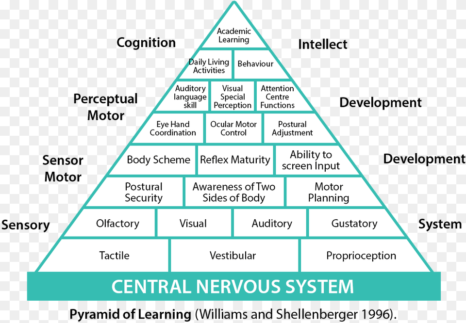 Pyramid Of Learning Pyramid Of Learning Sensory, Triangle Free Png
