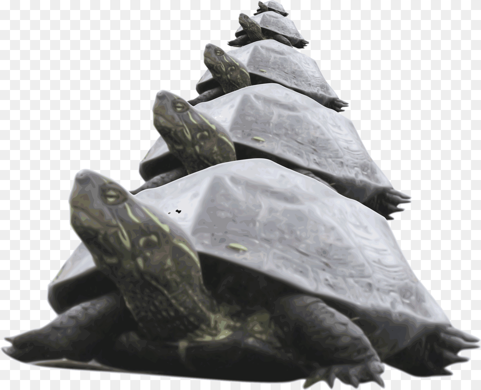 Pyramid Of Turtle Clip Arts Pyramid Of Turtles, Animal, Reptile, Sea Life, Tortoise Free Png Download