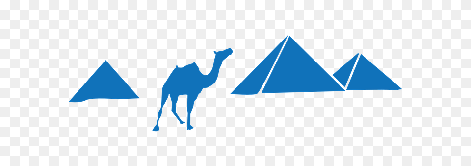 Pyramids Triangle, Animal, Camel, Mammal Png