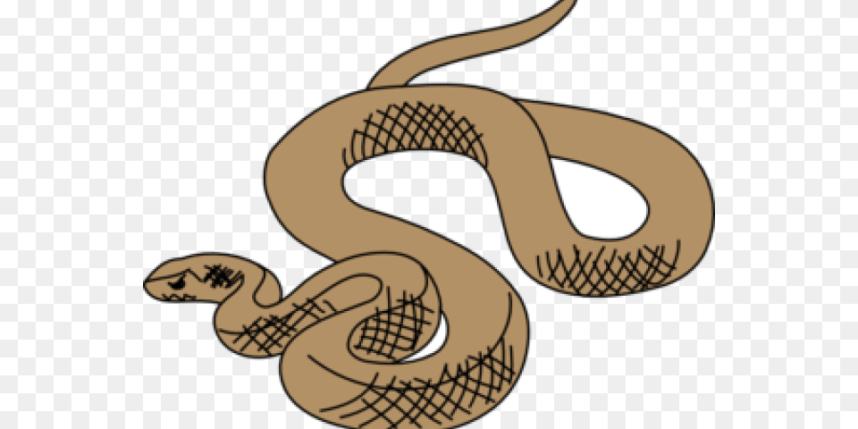 Python Clipart Pet Snake Brown Tree Snake Drawing, Animal, Reptile, Fish, Sea Life Free Transparent Png