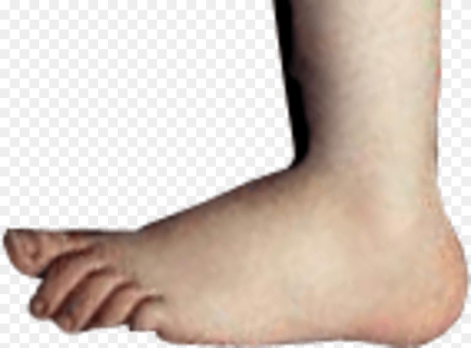 Python Foot, Ankle, Body Part, Person, Baby Free Transparent Png