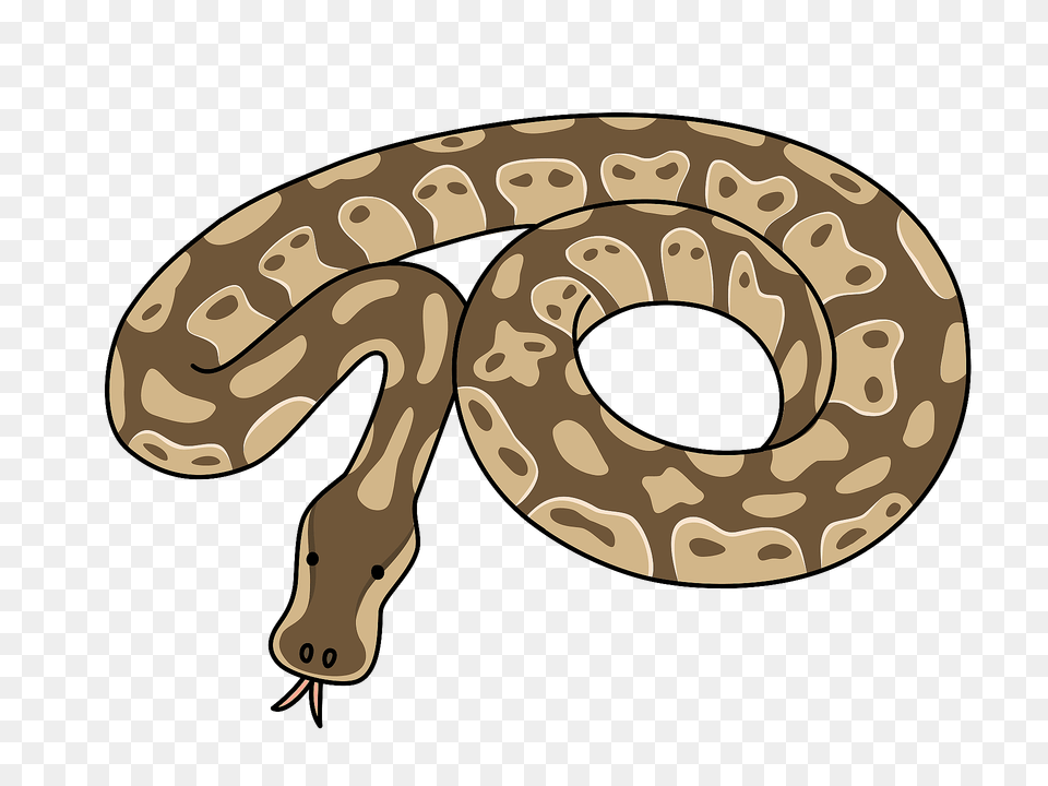 Python Snake Clipart, Animal, Reptile, Rock Python, Sea Life Png