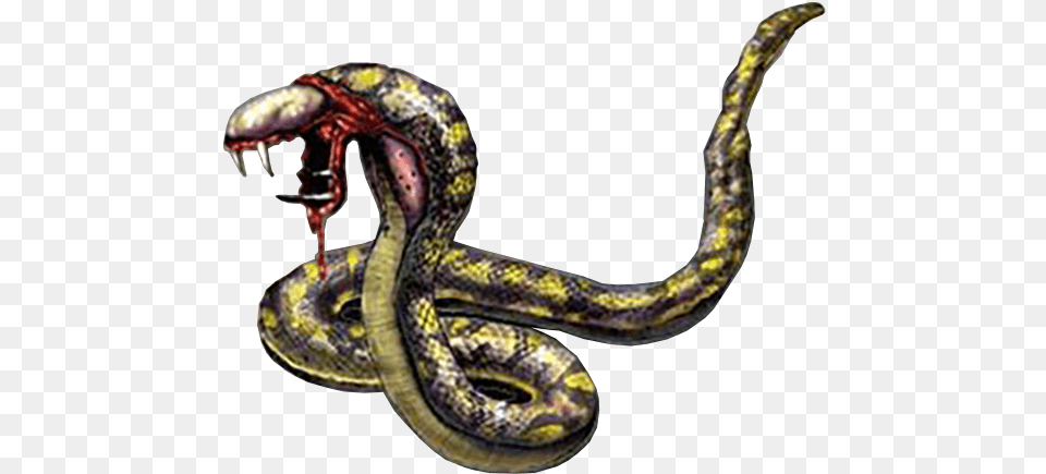 Python Snake Image Snake Monster, Animal, Reptile Free Png Download