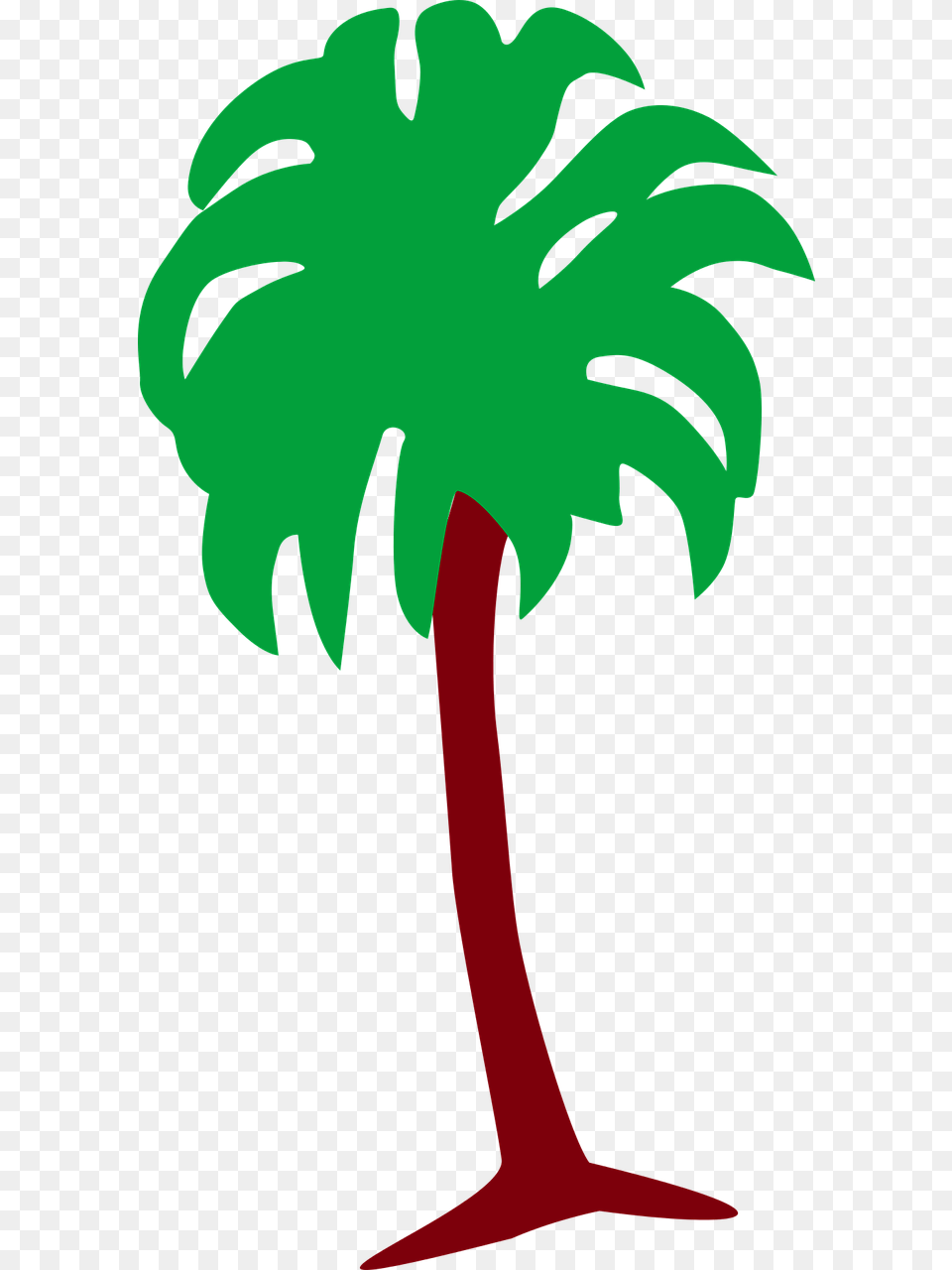 Qatar, Palm Tree, Plant, Tree, Person Free Png