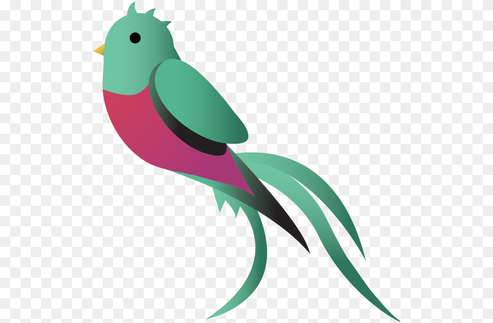 Qchain On Twitter Illustration, Animal, Beak, Bird, Parakeet Free Transparent Png