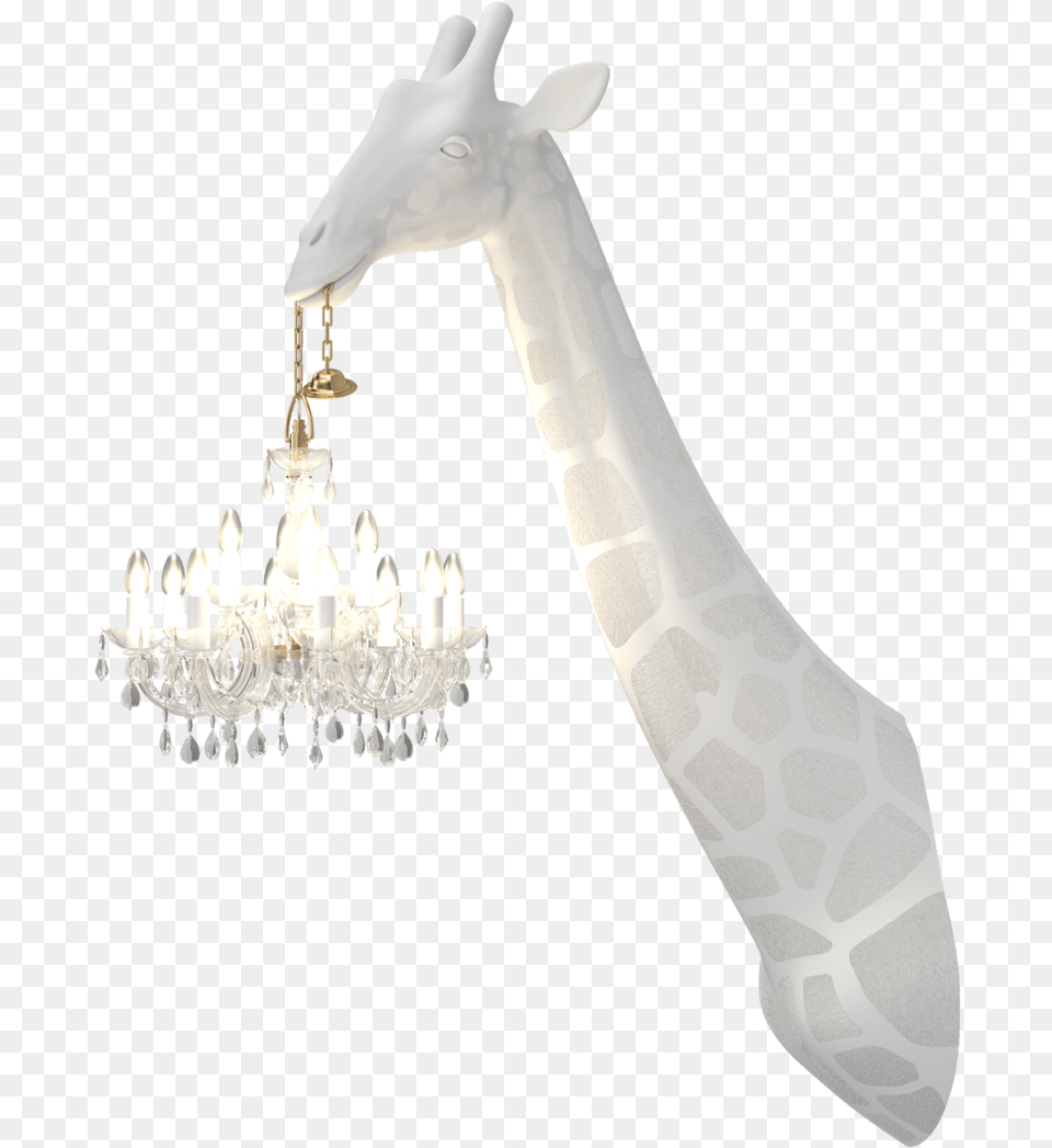 Qeeboo Giraffe, Chandelier, Lamp, Animal, Mammal Png Image