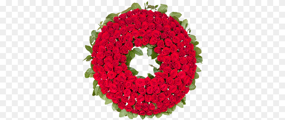 Qg Floral Shop Circle Of Love Wreath, Rose, Birthday Cake, Cake, Cream Png