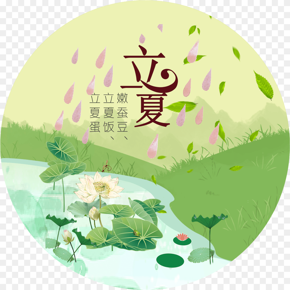 Qing Dynasty Lotus Pond Summer Festival, Green, Leaf, Plant, Flower Free Png Download