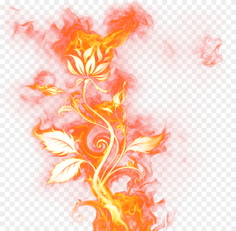 Qopo Rose On Fire Free Transparent Png