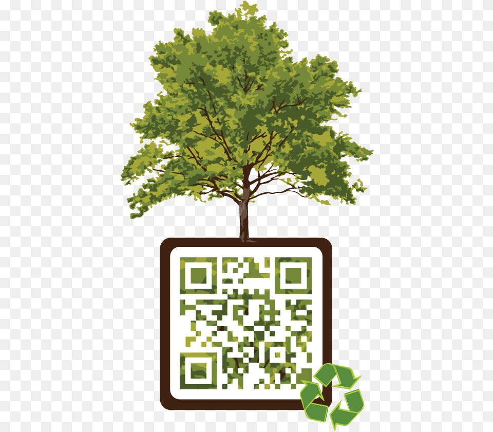Qr Code, Plant, Tree, Vegetation, Qr Code Free Png