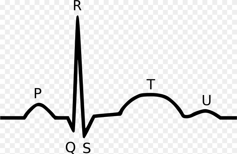 Qrs Complex, Gray Free Png