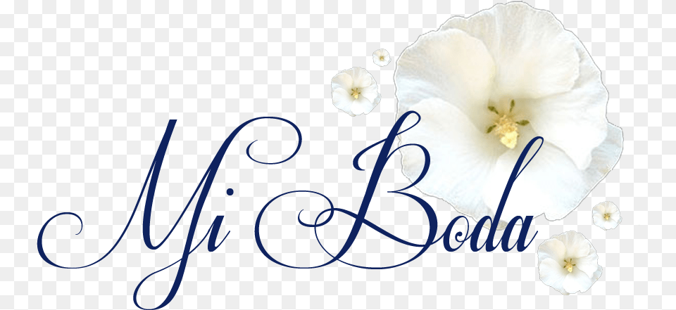 Qty 8 The Beauty Of Life Women39s Choir Sheet Music, Anther, Flower, Petal, Plant Free Png