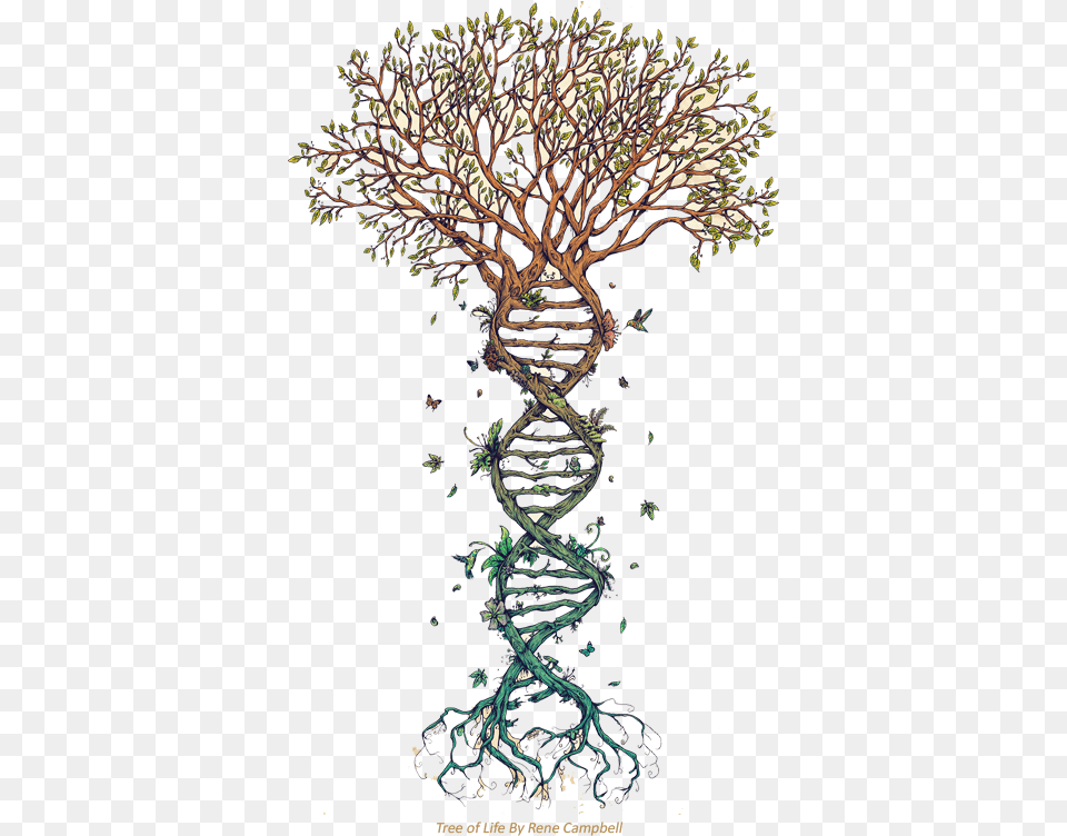 Qu Es Nayana Yoga Tree With Dna Roots, Art, Plant, Painting, Graphics Png