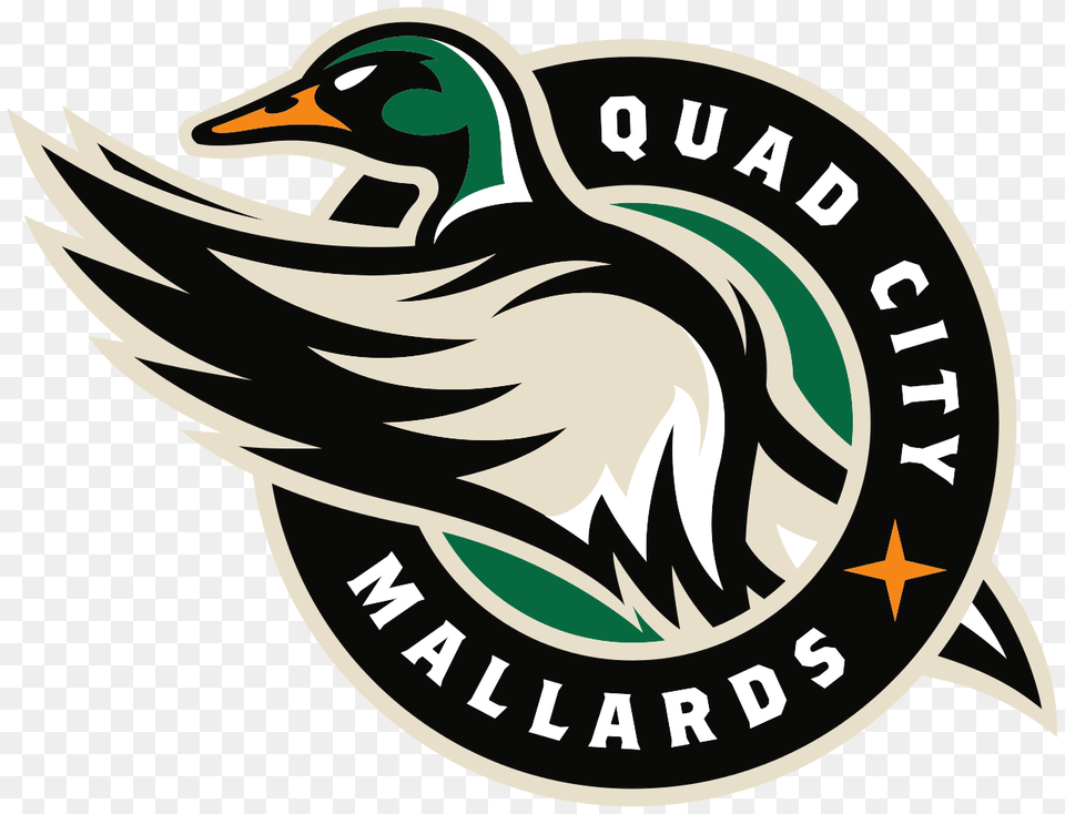 Quad City Mallards Logo, Animal, Bird, Duck, Waterfowl Free Transparent Png