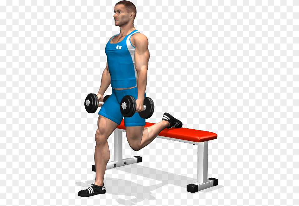 Quadriceps Exercise, Adult, Person, Man, Male Png