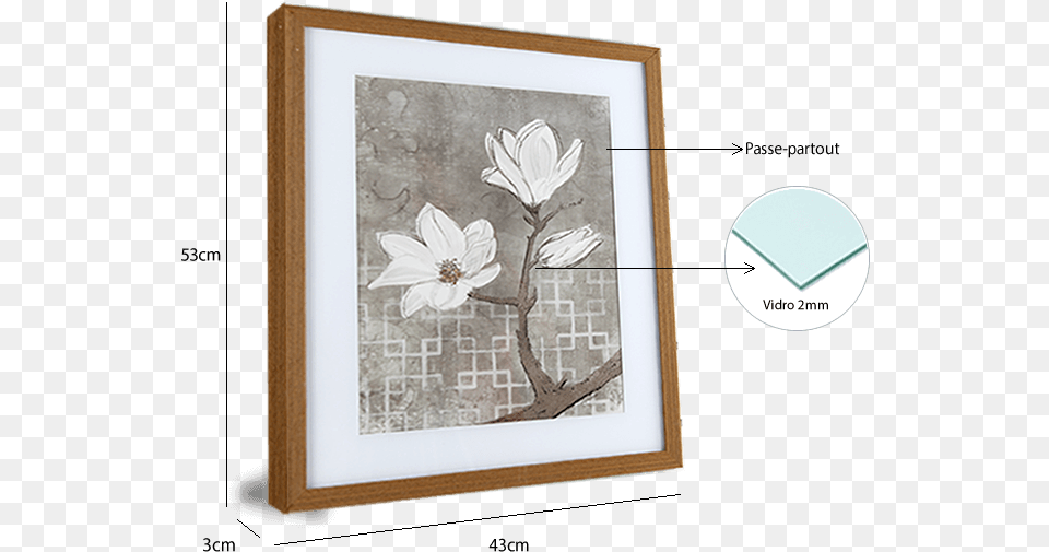 Quadro De Flor Branca, Flower, Plant, Art, Painting Free Transparent Png