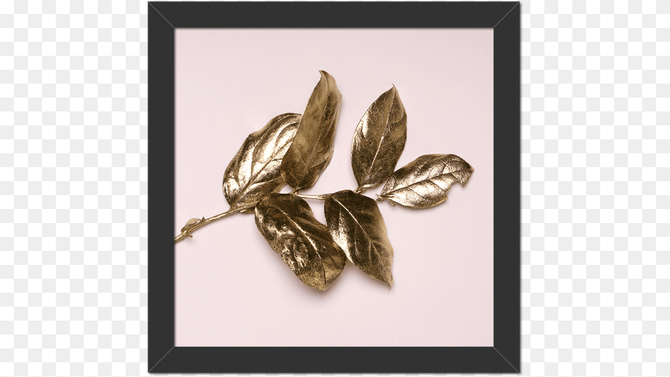 Quadro Folhas Douradas Moldura Preta Lisa Gold, Leaf, Plant, Herbal, Herbs Free Transparent Png