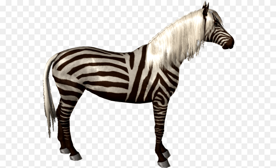 Quagga, Animal, Mammal, Wildlife, Zebra Png