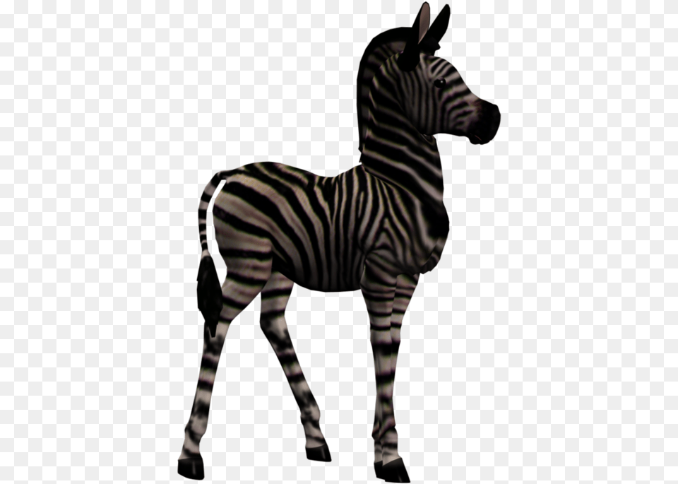 Quagga, Animal, Mammal, Wildlife, Zebra Free Transparent Png