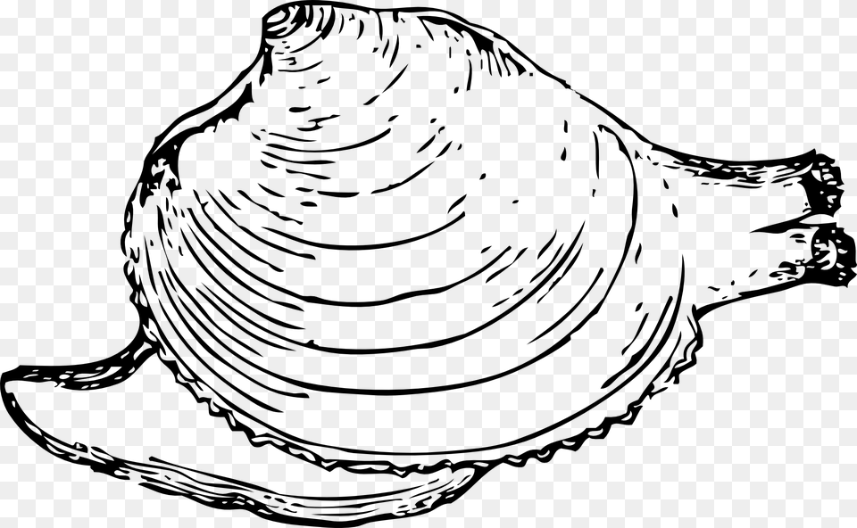 Quahog Clip Art, Gray Free Png Download