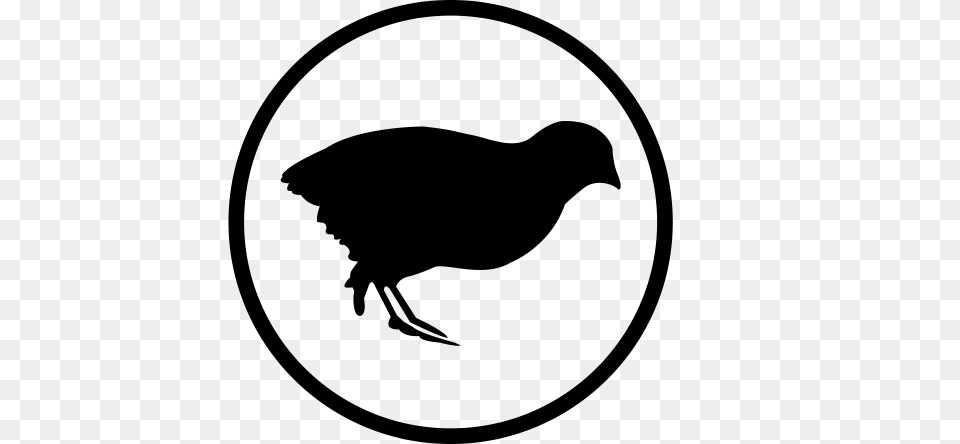 Quail Bush Icon With And Vector Format For Free, Gray Png