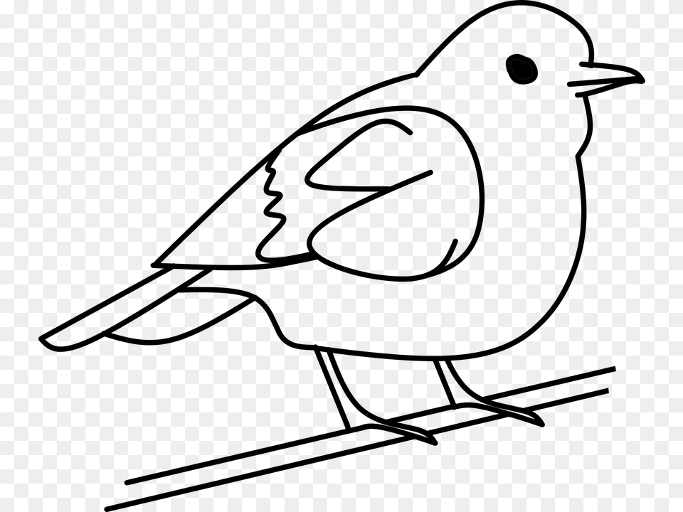 Quail Clip Art Black White, Gray Free Transparent Png