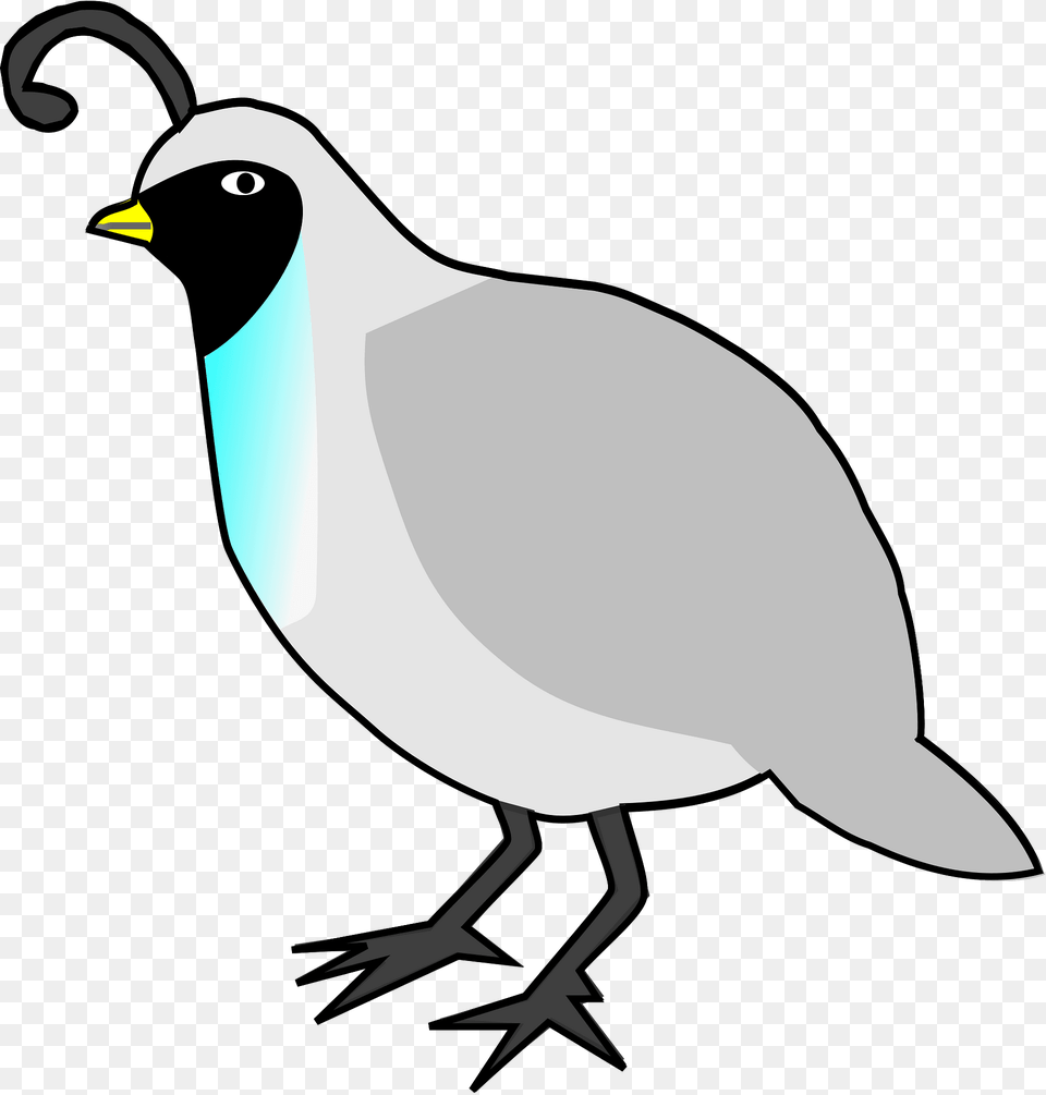 Quail Clipart, Animal, Bird, Jay, Beak Free Transparent Png
