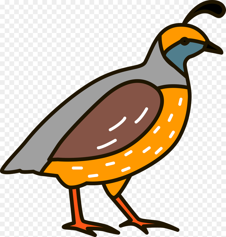 Quail Clipart, Animal, Bird, Partridge, Kangaroo Free Png