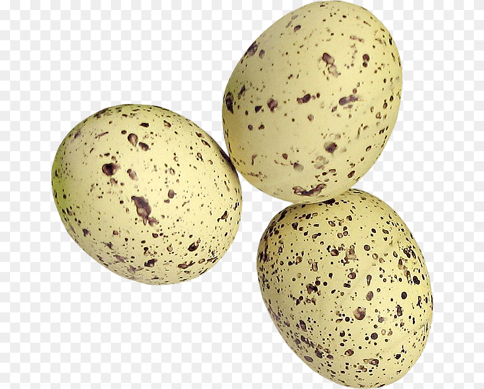 Quail Eggs, Egg, Food, Easter Egg Free Transparent Png