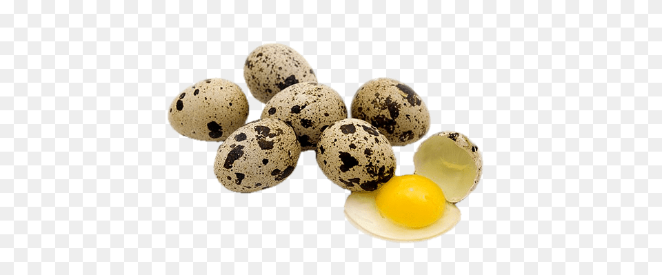 Quail Eggs, Egg, Food Free Png