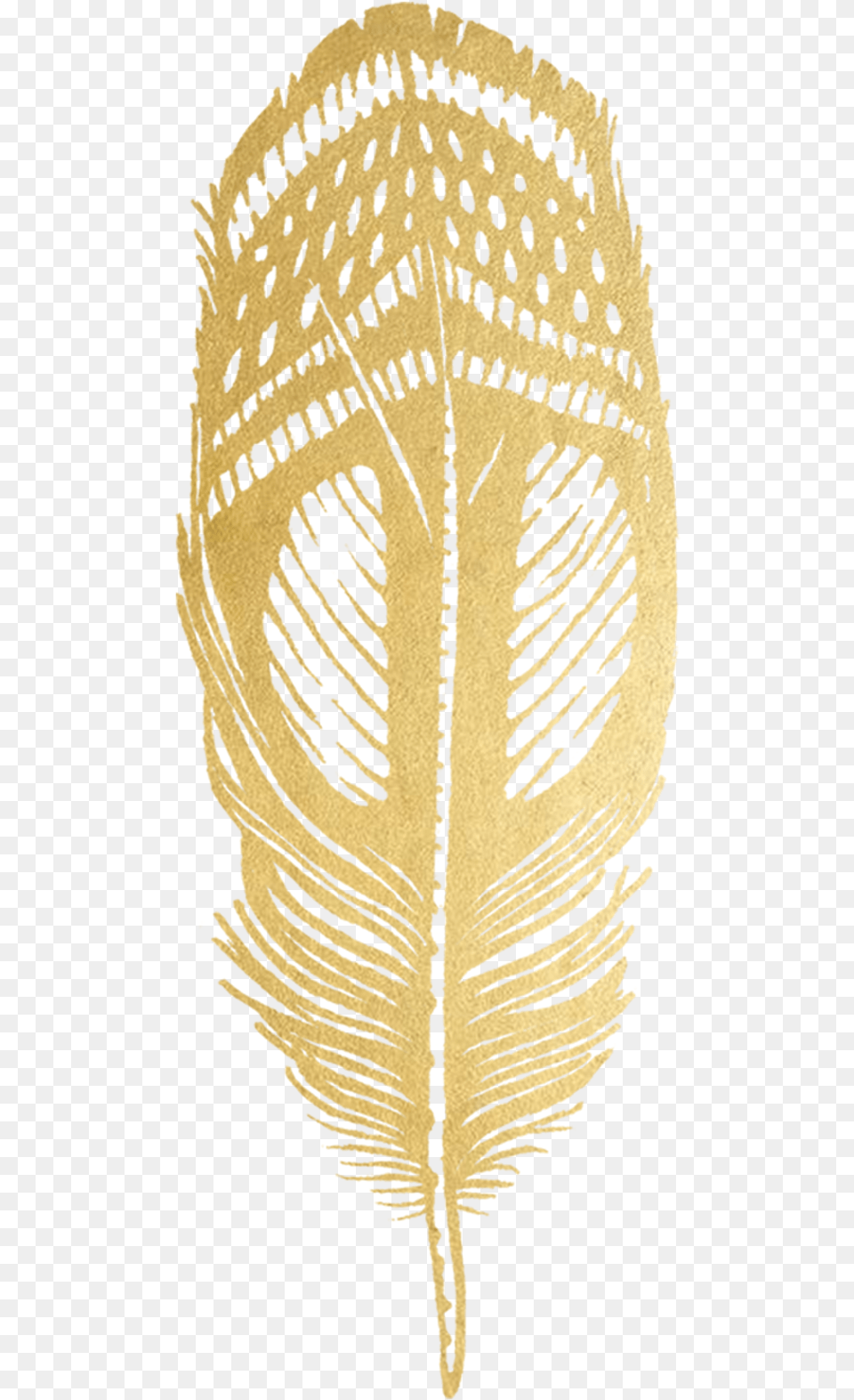 Quail Feather Feather Gold, Leaf, Plant, Person, Fossil Png Image