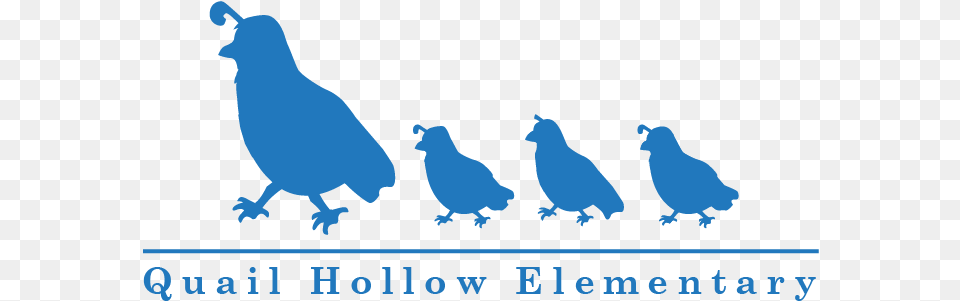 Quail Hollow Logo Suite 05 Quail Hollow Elementary Ut, Animal, Bird, Baby, Person Free Transparent Png