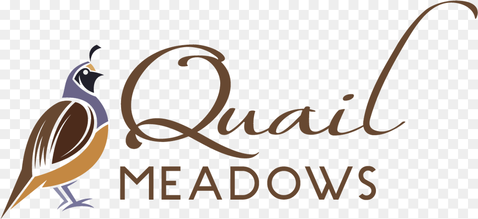 Quail Meadows Calligraphy, Animal, Bird, Jay, Text Free Transparent Png