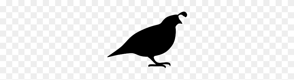 Quail Silhouette For Some Reason The Quail Has Always Reminded, Animal, Bird, Stencil, Blackbird Free Png