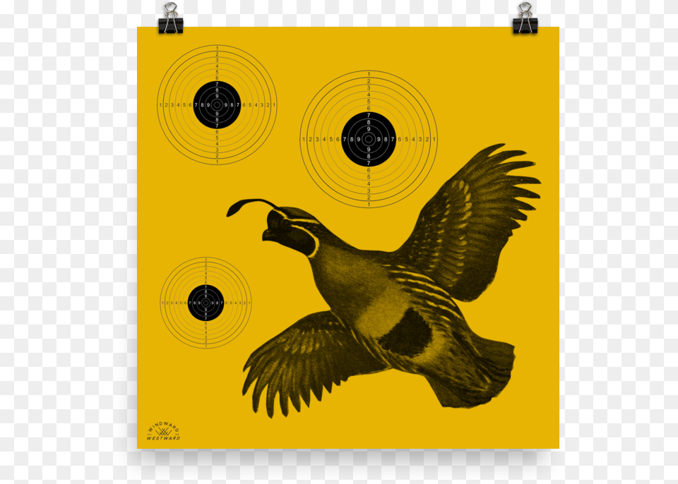 Quail Target Quail Target, Animal, Bird Free Transparent Png