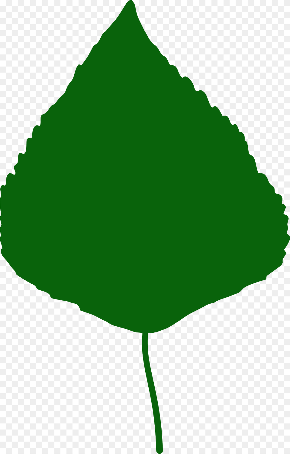 Quaking Aspen Leaf Silhouette, Plant, Green, Person, Herbal Free Transparent Png