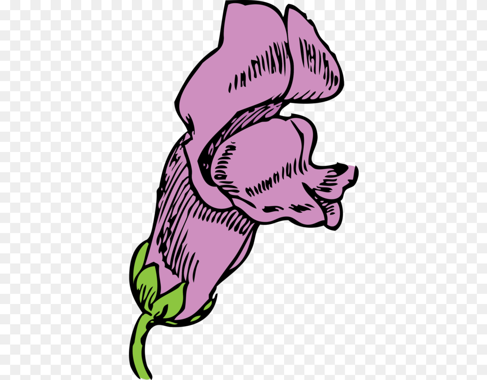 Qualcomm Snapdragon Drawing Flower Plantains, Plant, Purple, Person, Face Free Png Download