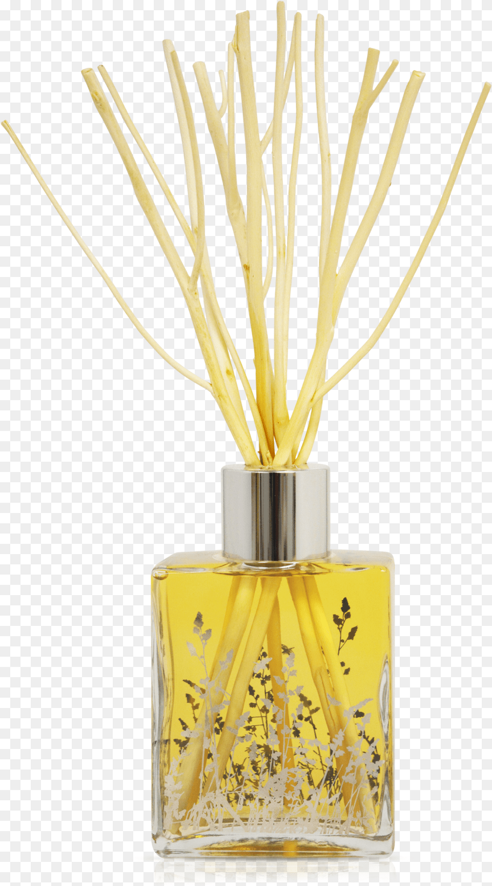 Qualitas Alcohol Natural Reed Diffuser Made In, Bottle, Cosmetics, Perfume, Plant Free Png