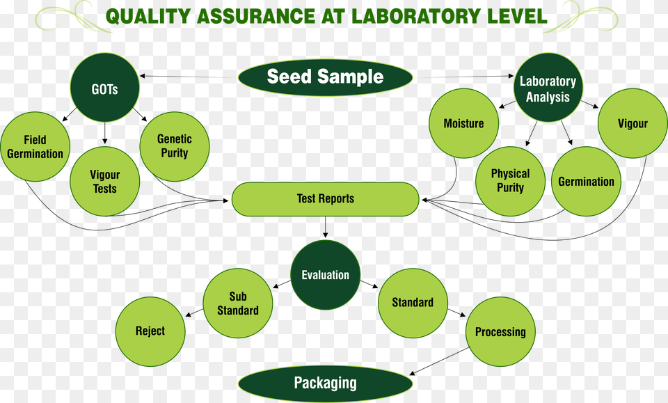 Quality Assurance At Laboratory Level Laboratory Different Quality Assurance, Diagram, Uml Diagram Png
