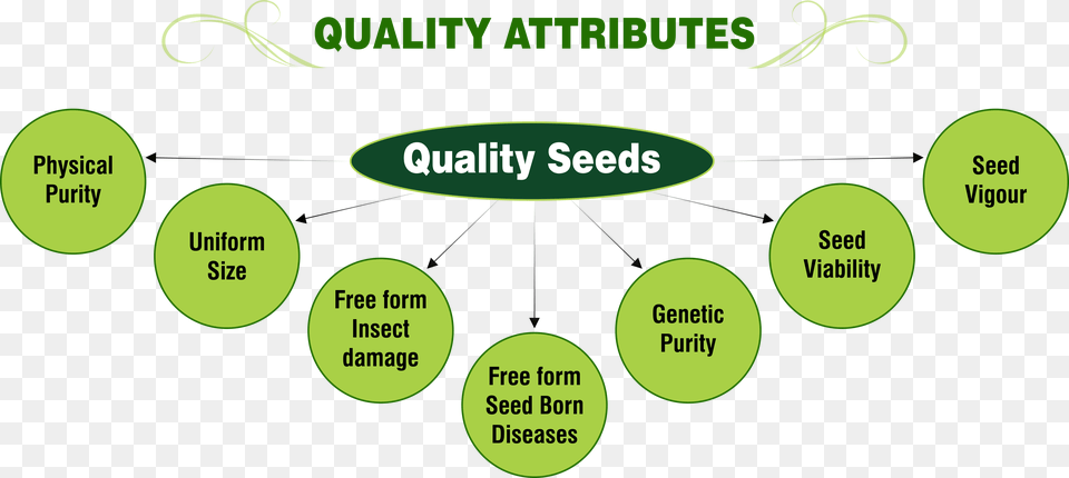 Quality Attributes Attributes Of Quality, Diagram, Uml Diagram Png