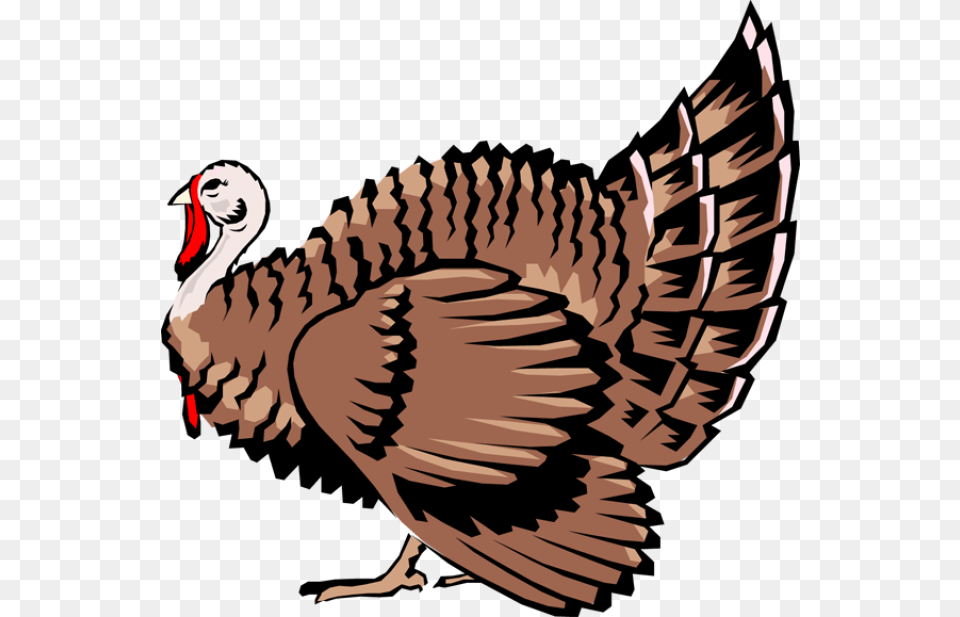 Quality Clip Art Of Animals That Live On A Farm Turkey My, Animal, Bird, Fowl, Poultry Free Png