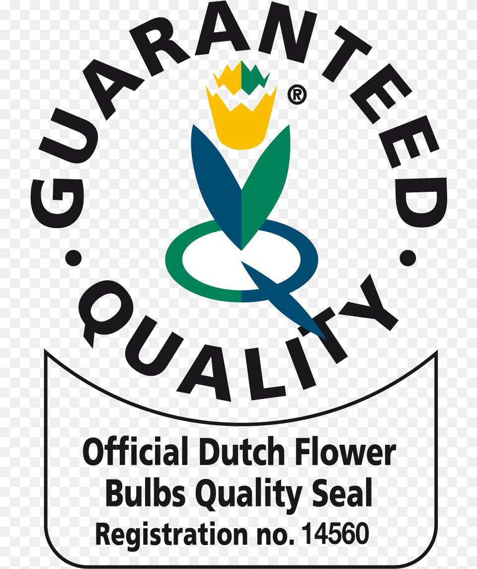 Quality Seal, Advertisement, Poster, Logo, Dynamite Free Png