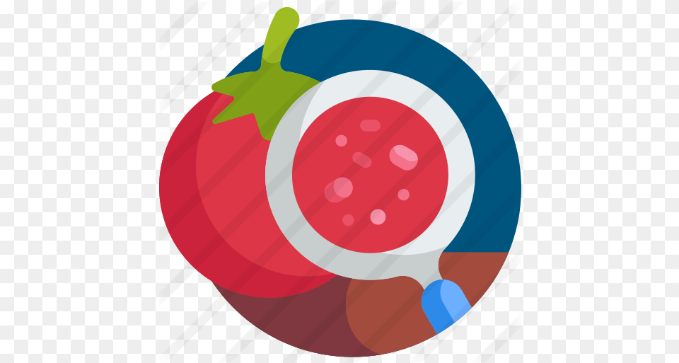 Quality Test Circle, Food, Produce, Berry, Fruit Free Png Download