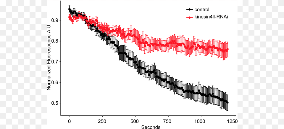 Quantification Of Chloroplast Dynamics During The Light Plot, Chart Free Png Download